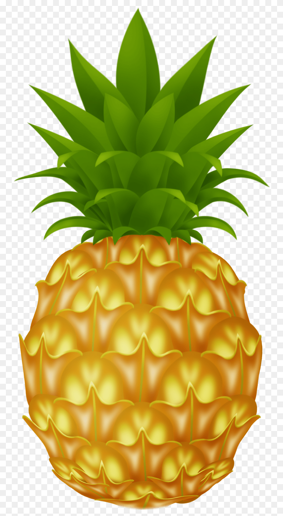 Pineapple Free Png