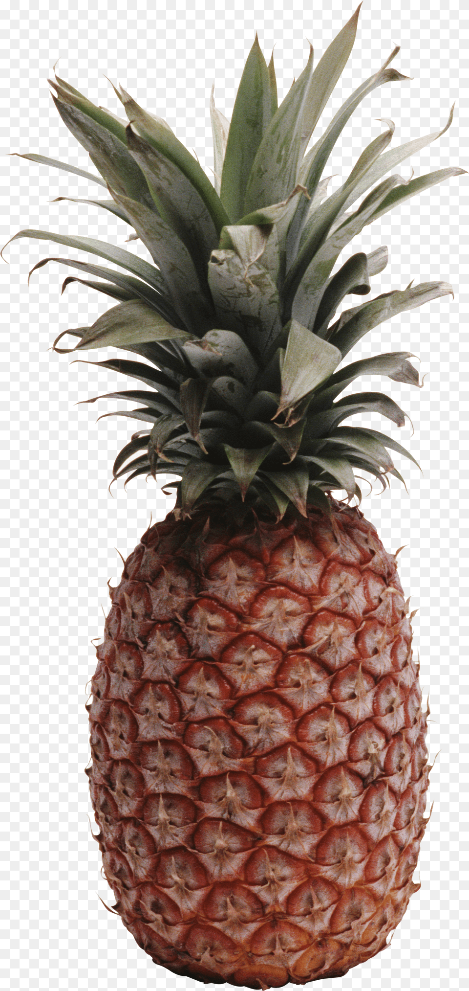 Pineapple, Food, Fruit, Plant, Produce Free Transparent Png