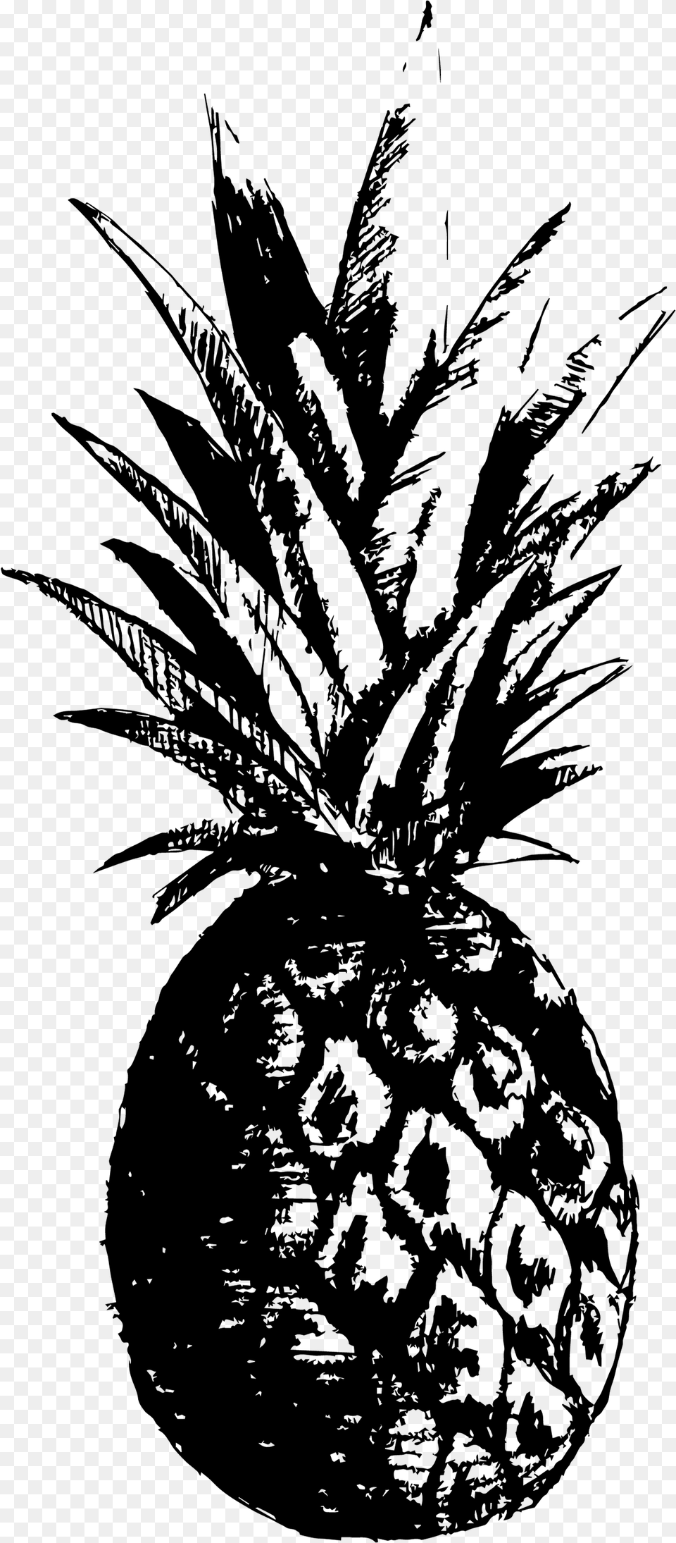 Pineapple, Gray Free Png