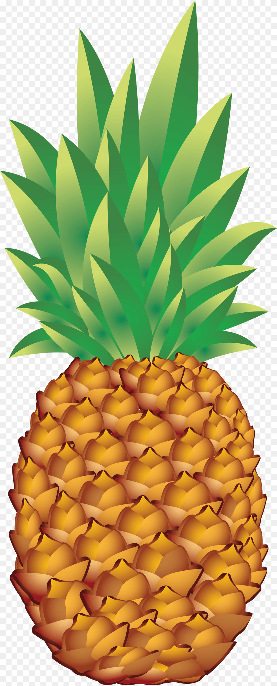 Pineapple, Food, Fruit, Plant, Produce Png