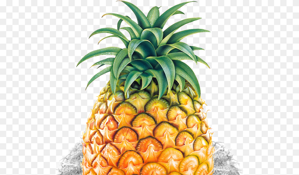 Pineapple, Food, Fruit, Plant, Produce Free Png