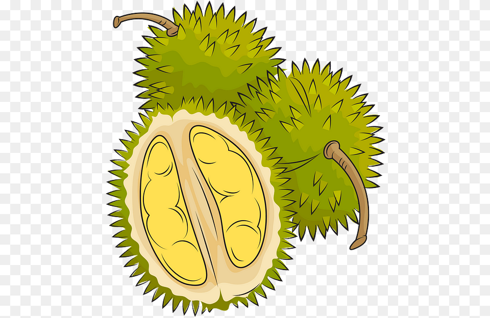 Pineapple, Durian, Food, Fruit, Plant Free Transparent Png