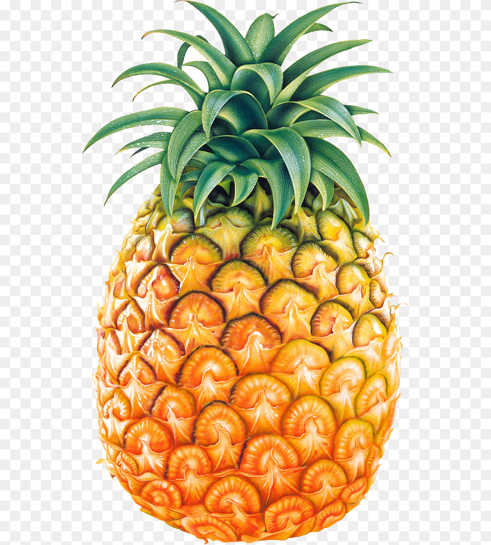 Pineapple, Food, Fruit, Plant, Produce Png Image