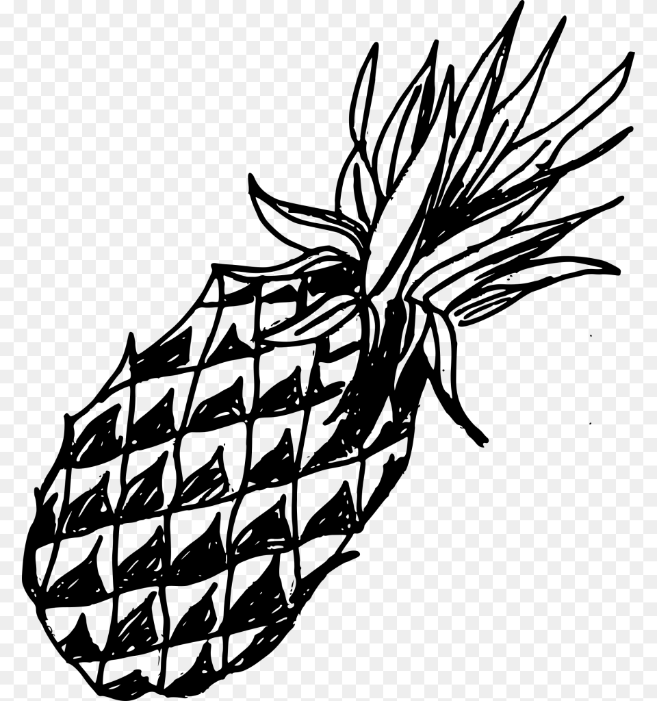 Pineapple, Gray Free Png