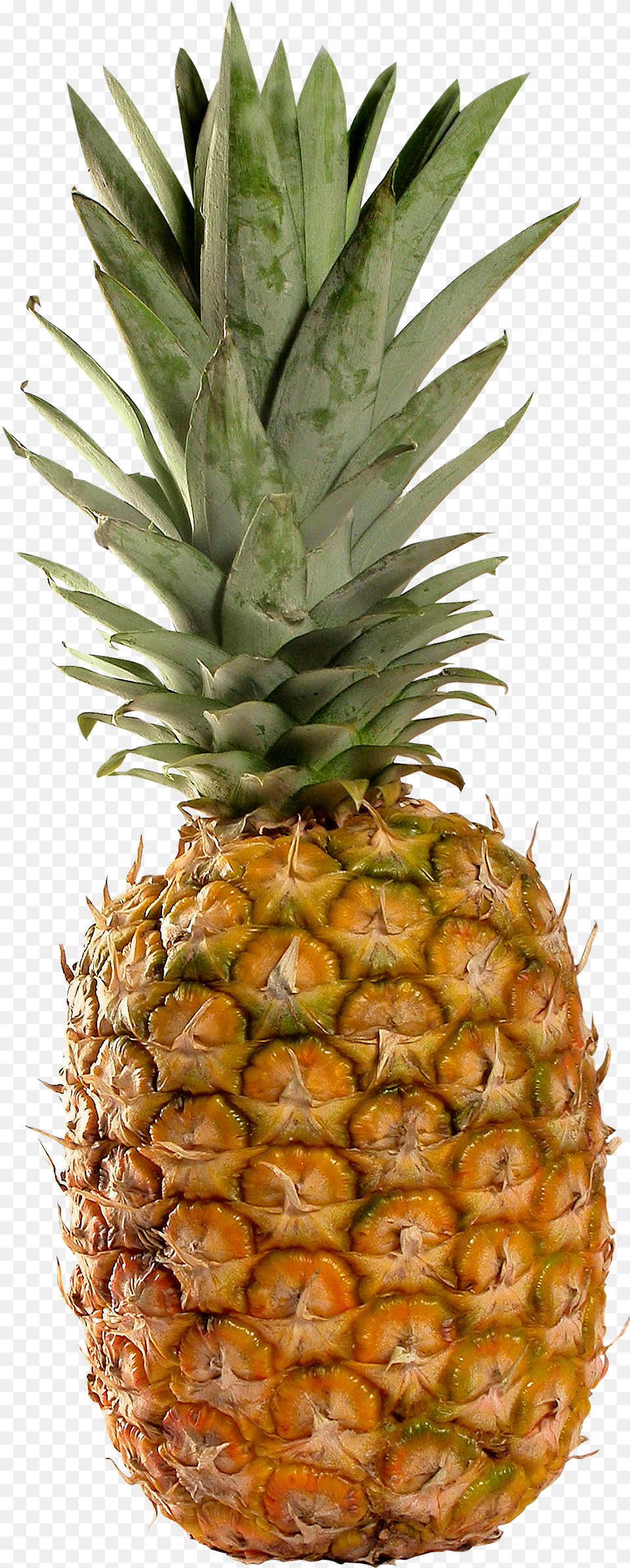 Pineapple, Food, Fruit, Plant, Produce Png