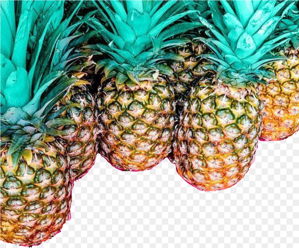 Pineapple Abacaxi Freetoedit Very Pretty Backgrounds, Food, Fruit, Plant, Produce Free Png