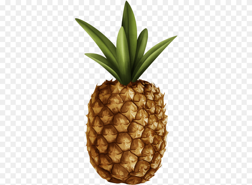 Pineapple And Vectors For Free Download Dlpngcom Pineapple, Food, Fruit, Plant, Produce Png
