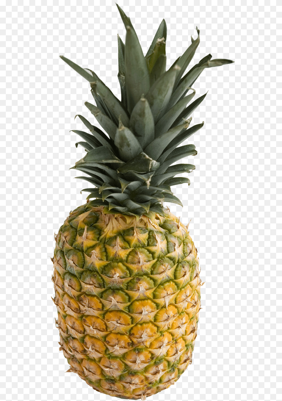 Pineapple And Vectors For Pineapple Ananas, Food, Fruit, Plant, Produce Free Png Download