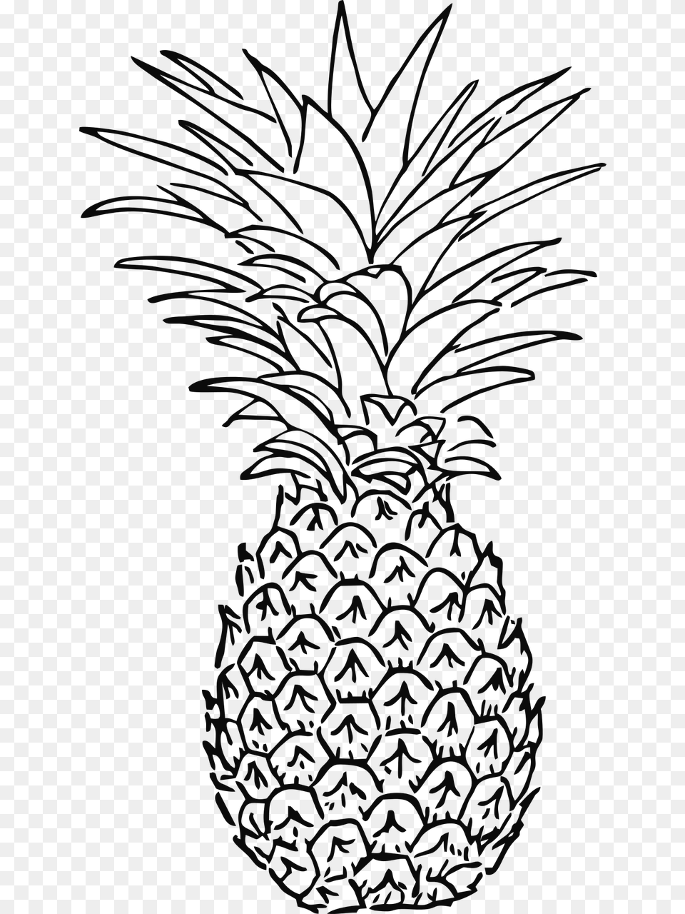 Pineapple Black And White, Food, Fruit, Plant, Produce Png
