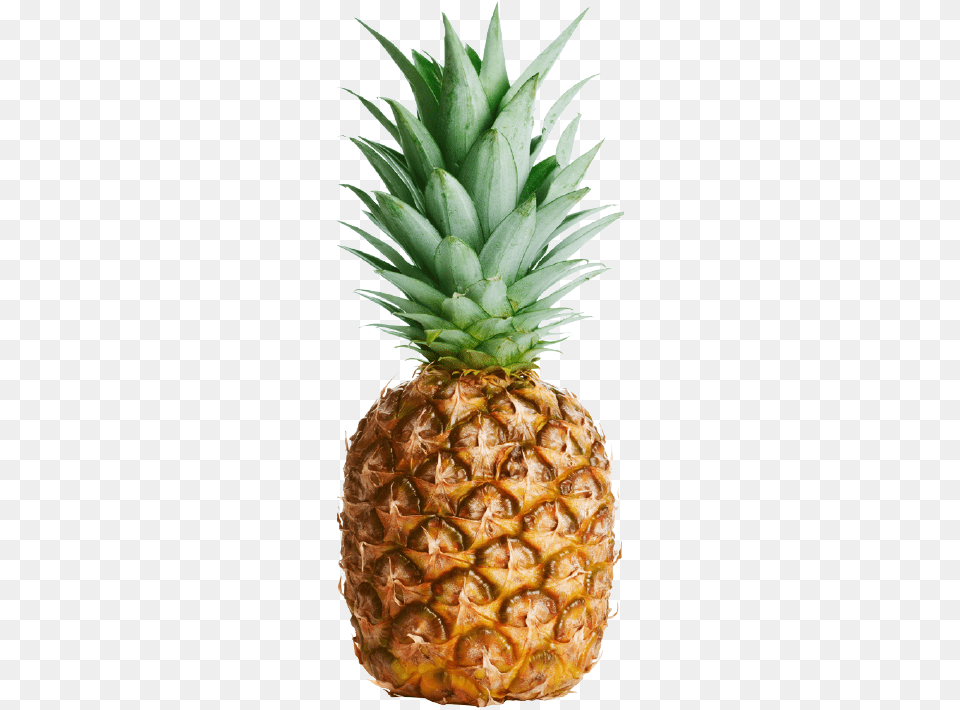 Pineapple Black And White Pineapple Photography, Food, Fruit, Plant, Produce Png Image