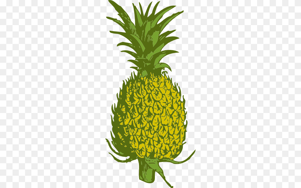 Pineapple Clip Art, Food, Fruit, Plant, Produce Free Png Download