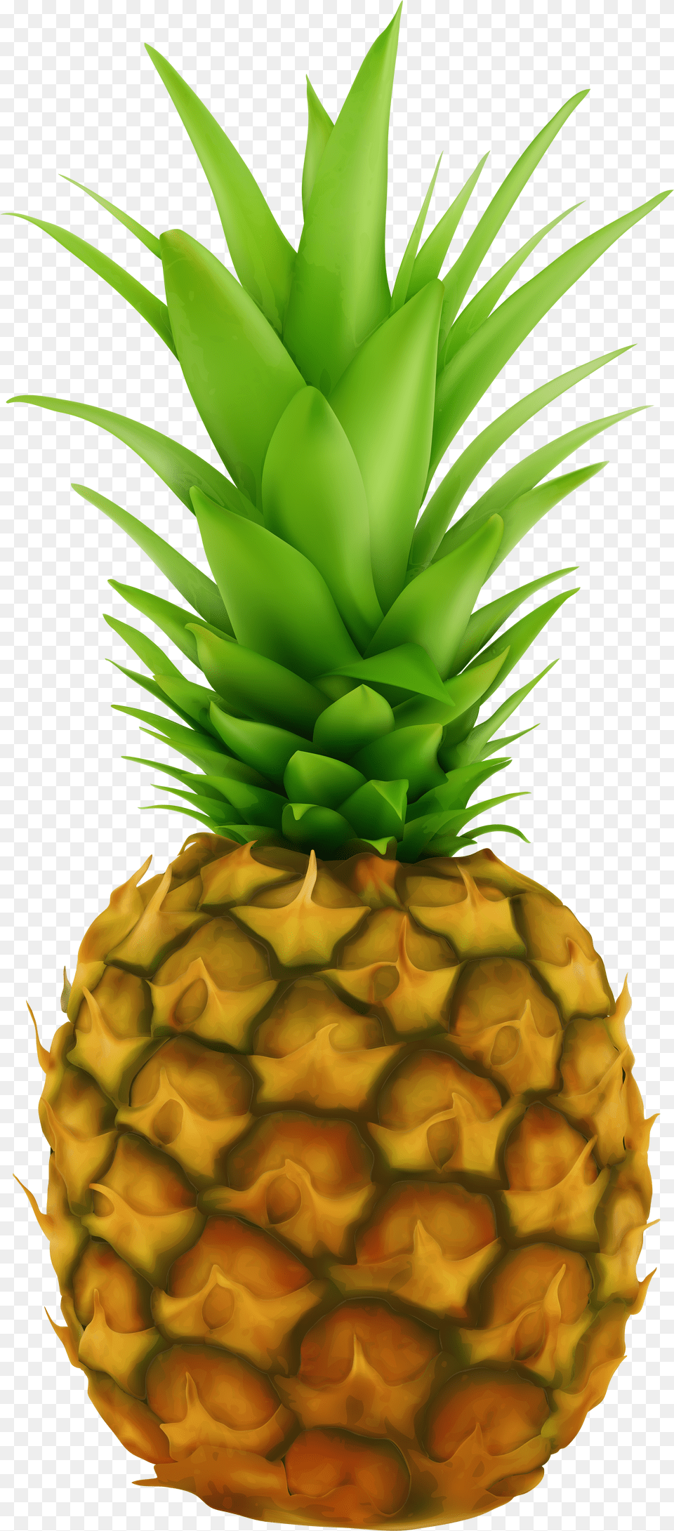 Pineapple Clip Art Pineapple Fruit Background, Box, Alcohol, Beer, Beverage Png Image