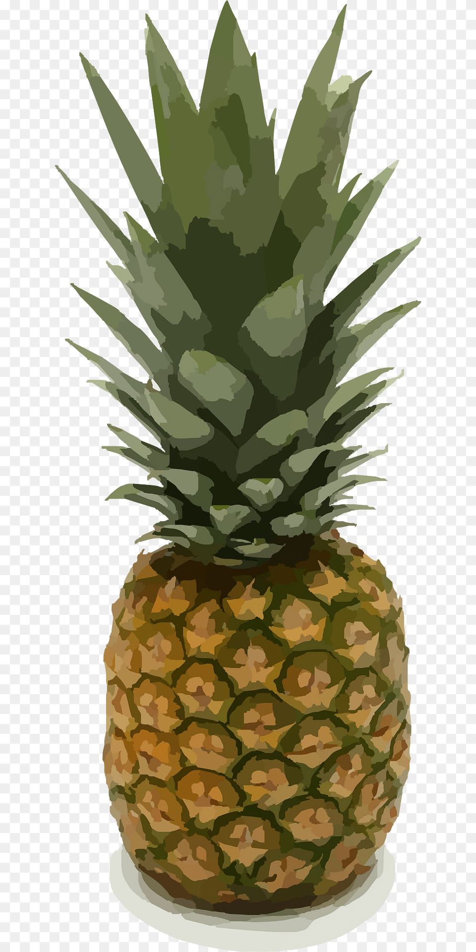 Pineapple Clipart, Food, Fruit, Plant, Produce Png Image