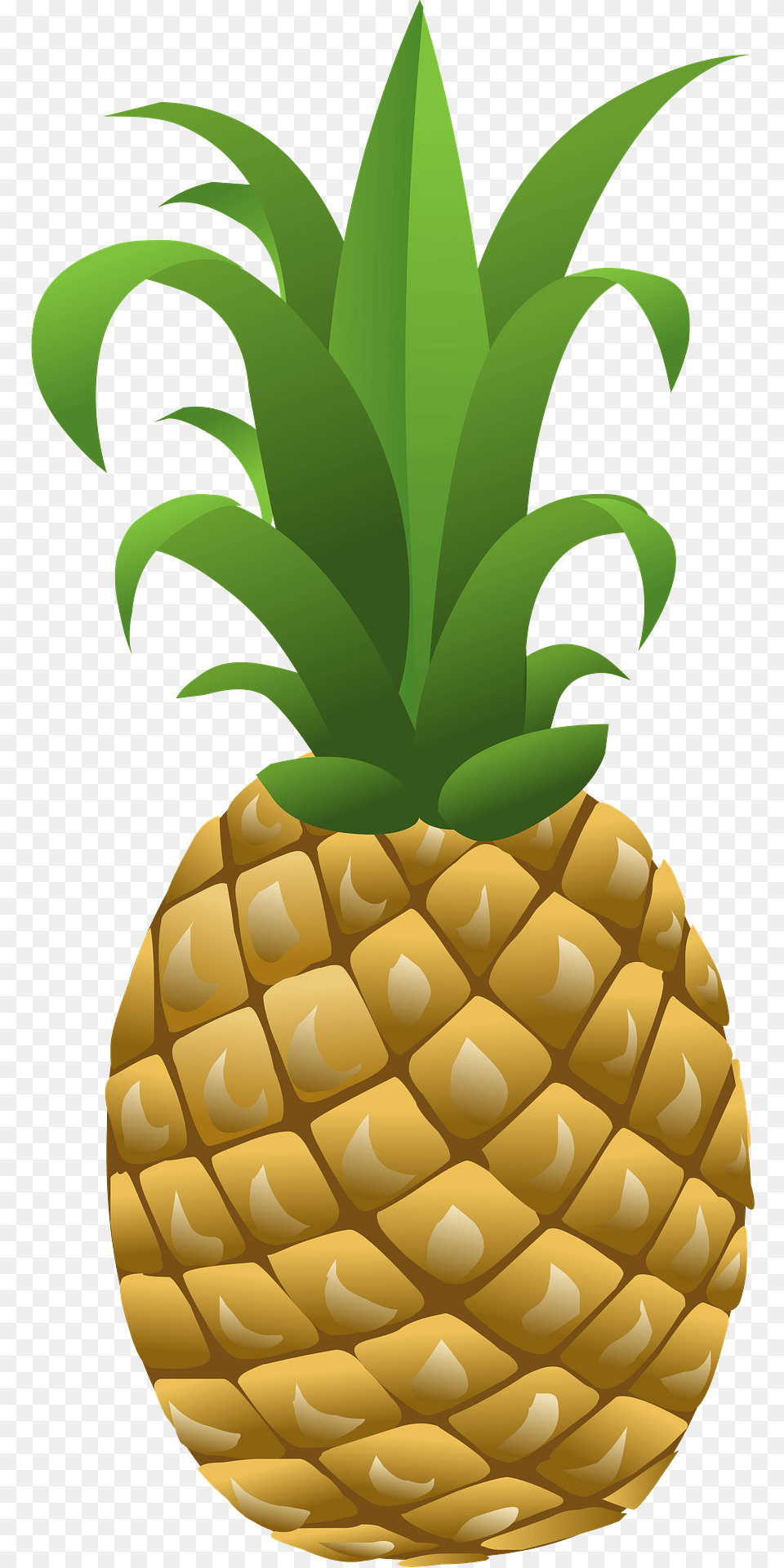 Pineapple Clipart, Food, Fruit, Plant, Produce Png