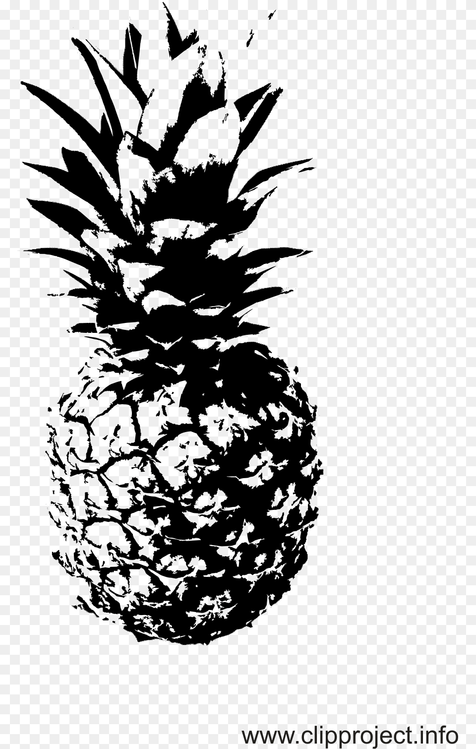 Pineapple Clipart Classy Schwarz Wei Bilder Ananas, Produce, Plant, Food, Fruit Free Png