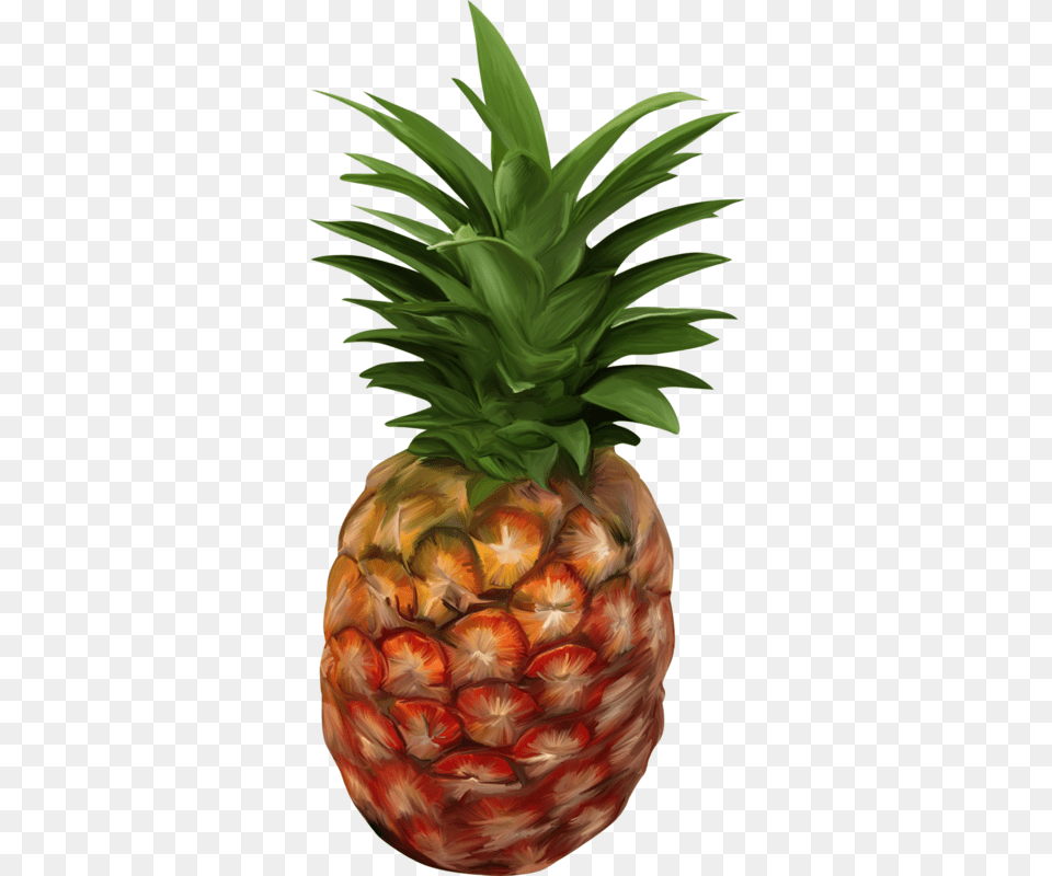 Pineapple Clipart Fruits And Vegetable Send Nudes In Different Languages, Food, Fruit, Plant, Produce Free Png Download