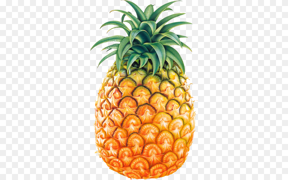 Pineapple Clipart Nice Clip Art, Food, Fruit, Plant, Produce Free Png Download