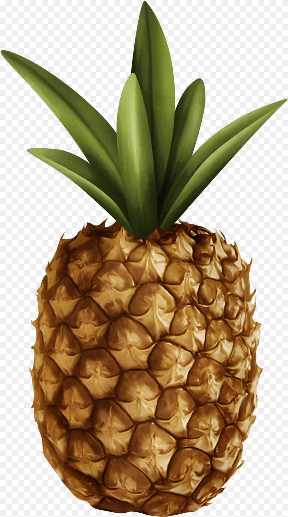 Pineapple Clipart Pineapple, Food, Fruit, Plant, Produce Free Png