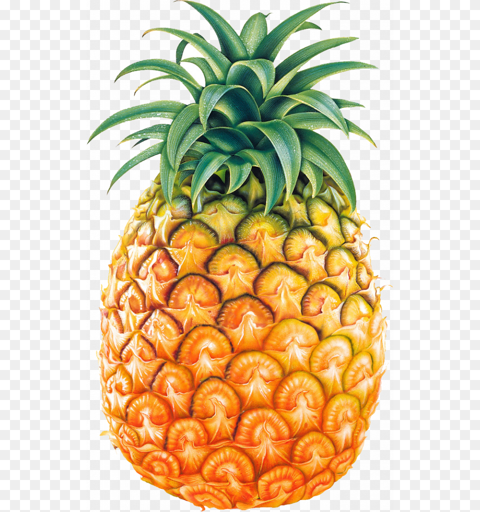 Pineapple Clipart Pineapple, Food, Fruit, Plant, Produce Free Transparent Png