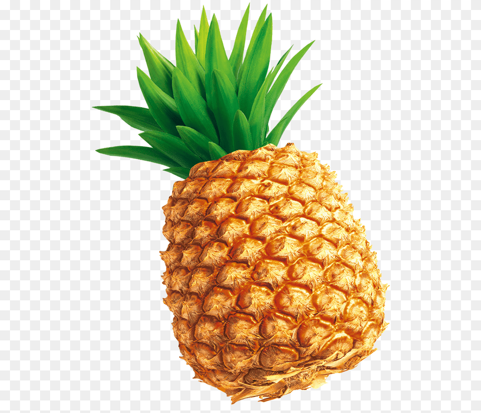 Pineapple Download Tempting Pineapple Download 800 Pineapple Illustration, Food, Fruit, Plant, Produce Png