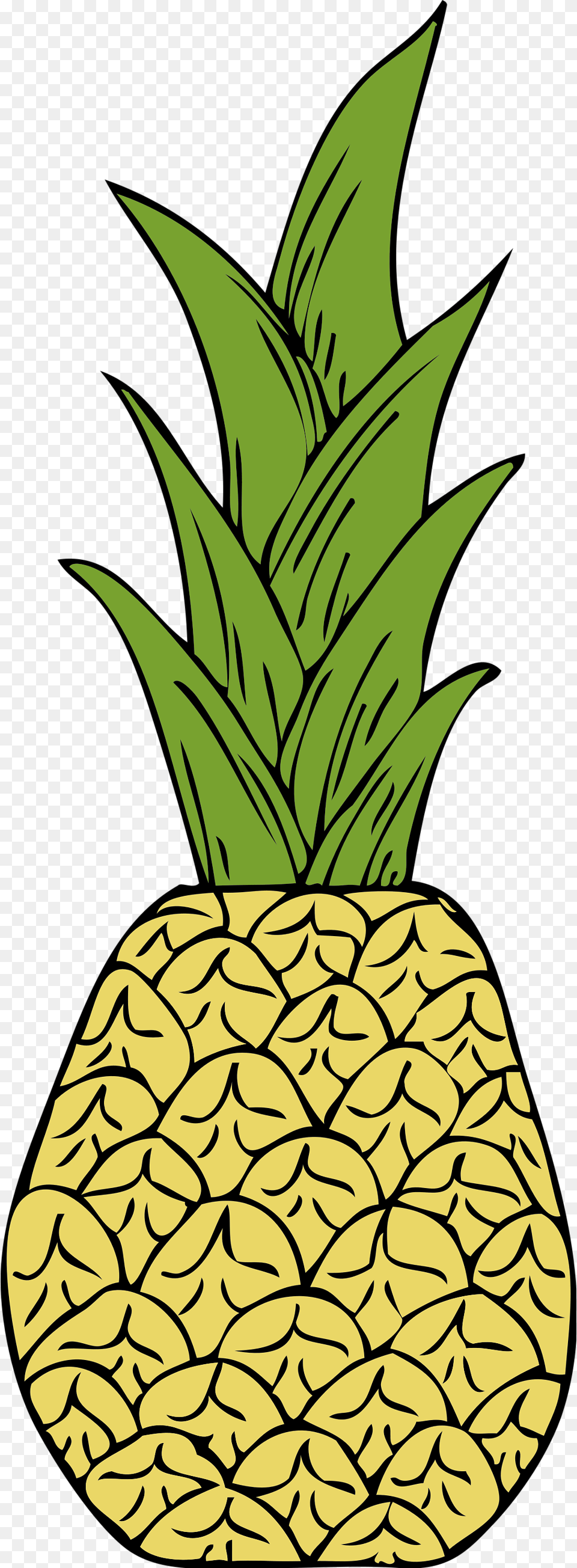 Pineapple Drawing Clip Art Transparent Pineapple Tumblr, Food, Fruit, Plant, Produce Png