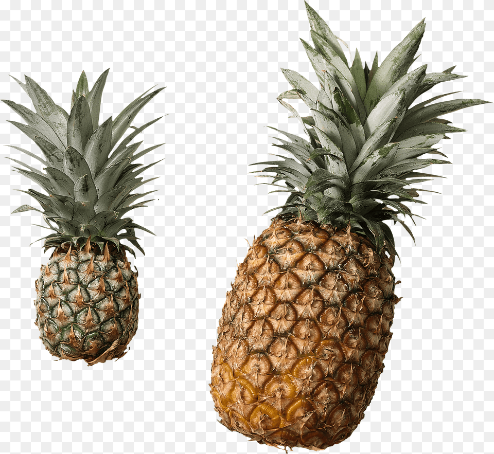 Pineapple Duo, Food, Fruit, Plant, Produce Png Image
