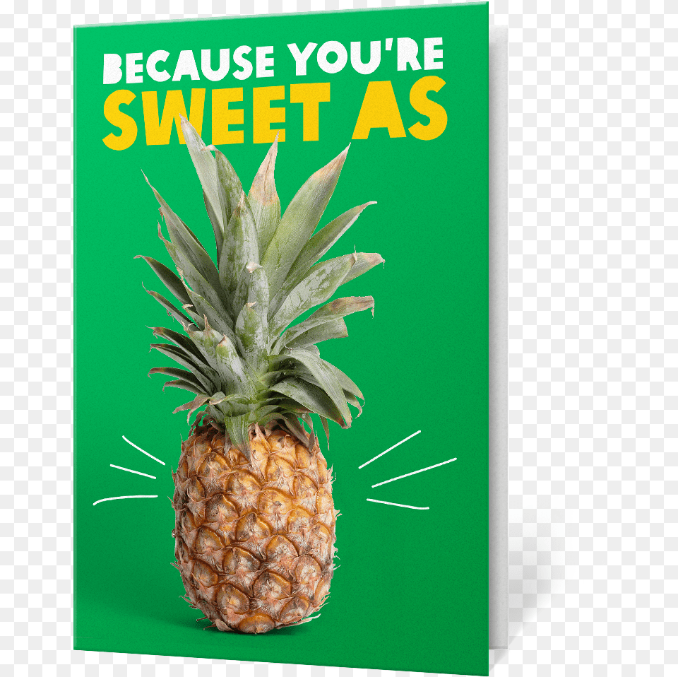 Pineapple Farm Charity Gift Oxfam Unwrapped Food, Fruit, Plant, Produce Free Transparent Png