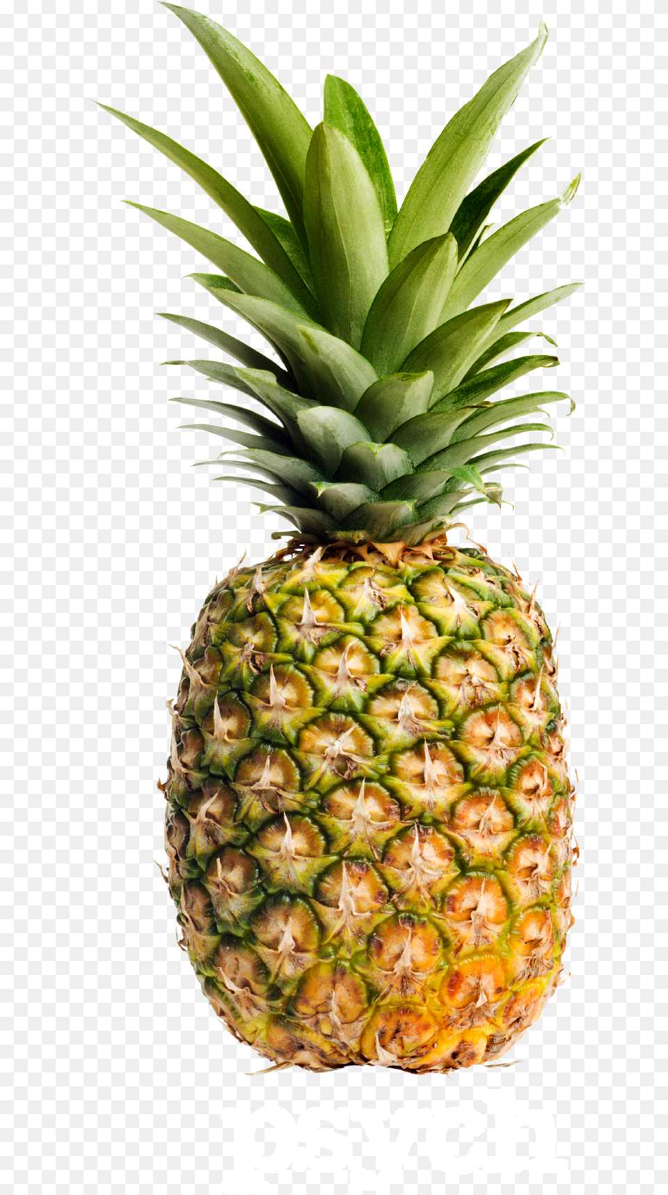 Pineapple Fruit, Food, Plant, Produce Png Image