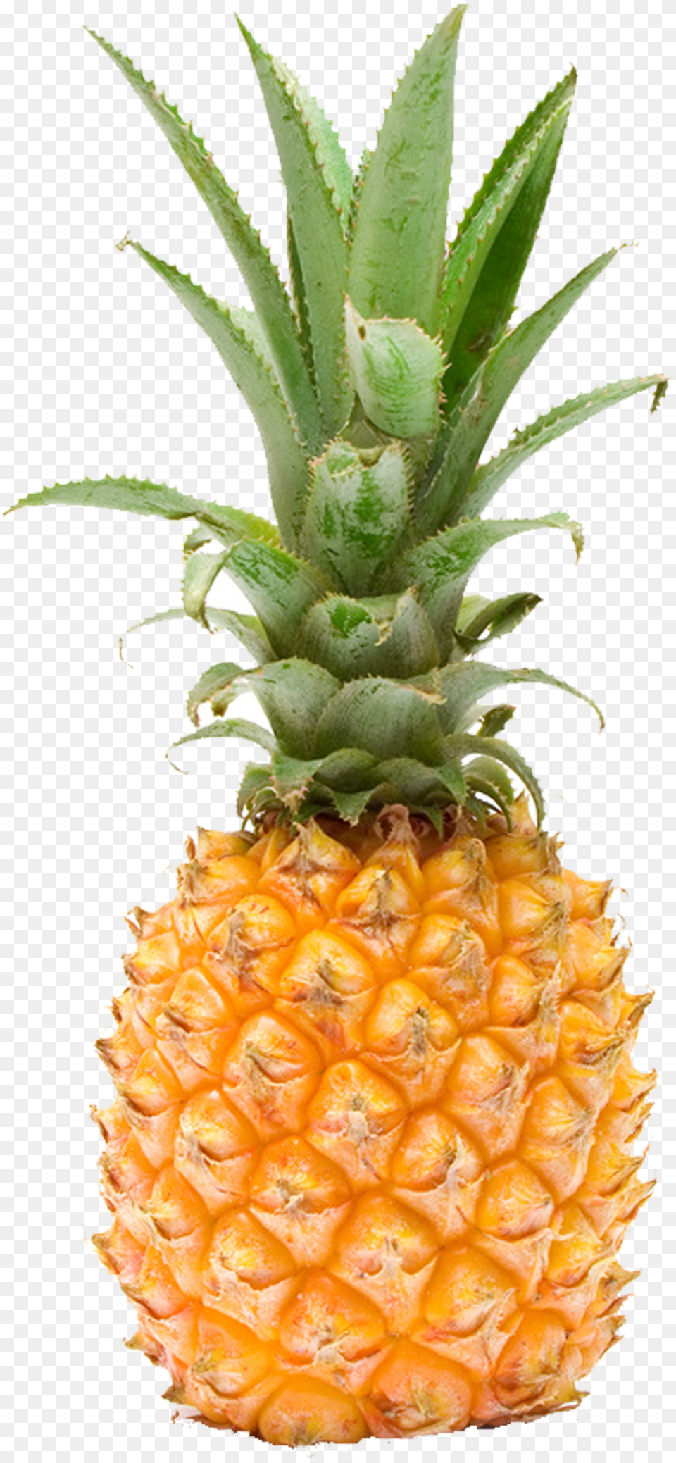 Pineapple Fruit Photography Pineapple, Food, Plant, Produce Free Png Download