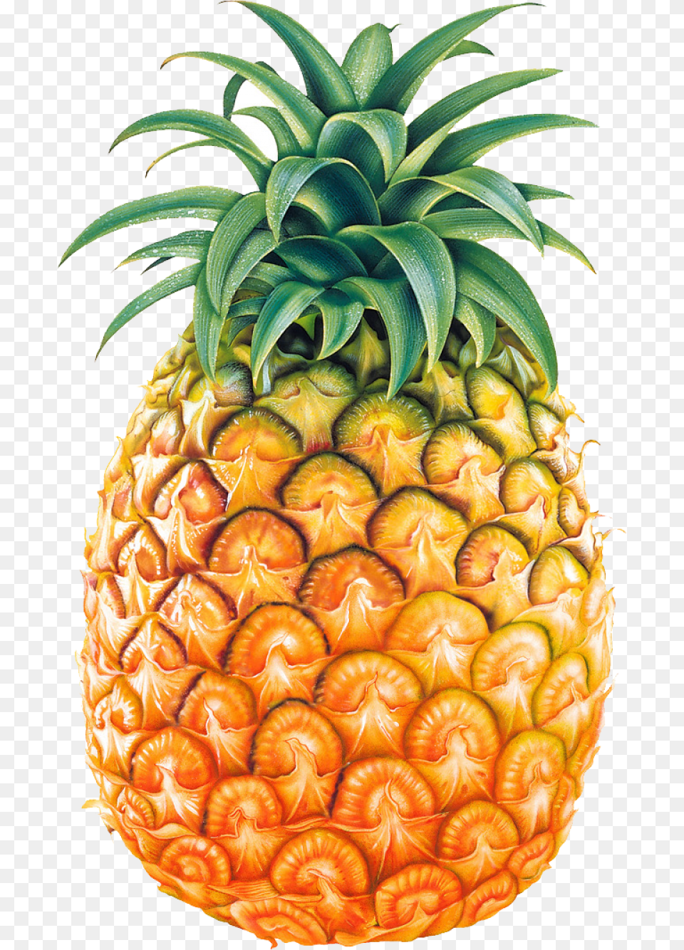 Pineapple Fruit Pineapple, Food, Plant, Produce Png