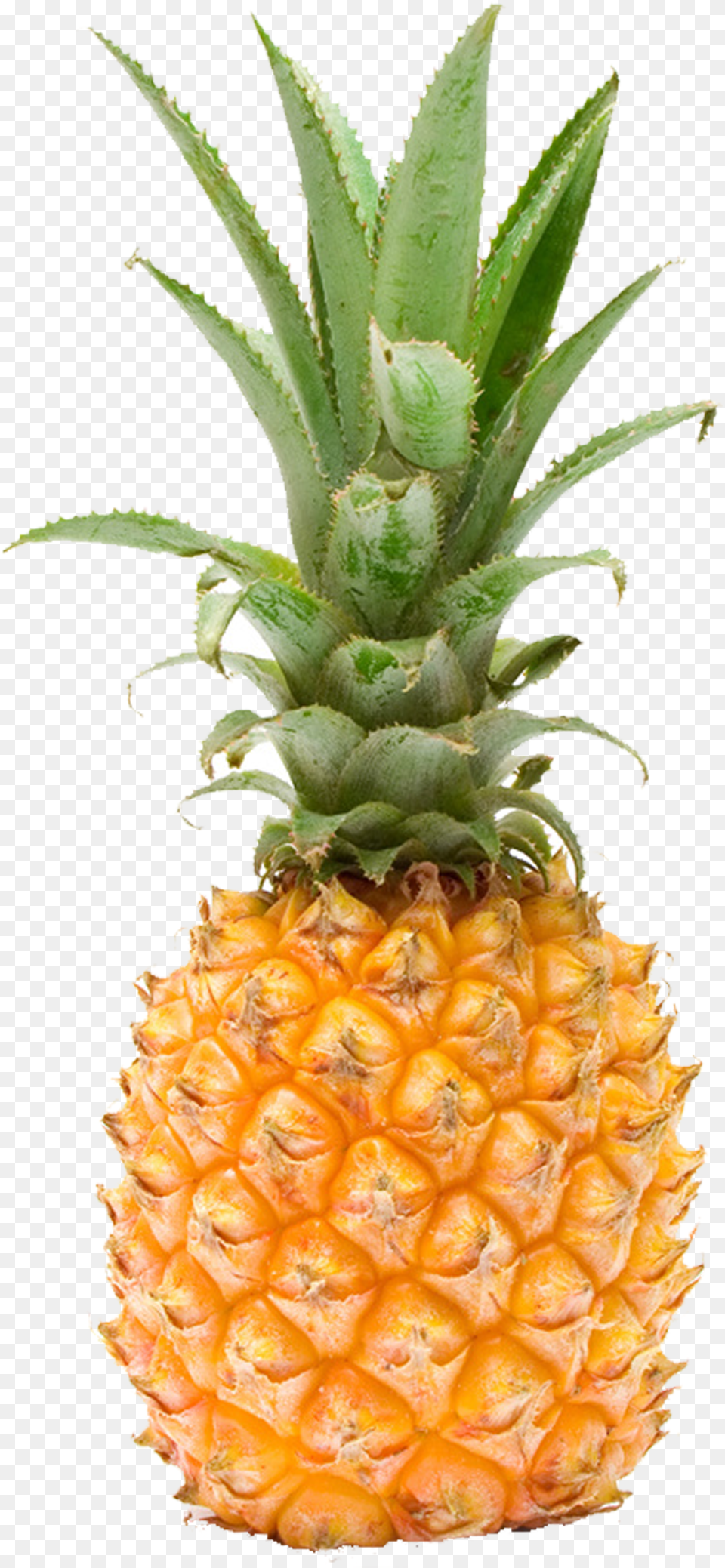Pineapple Fruit Tall Pineapple, Food, Plant, Produce Free Transparent Png