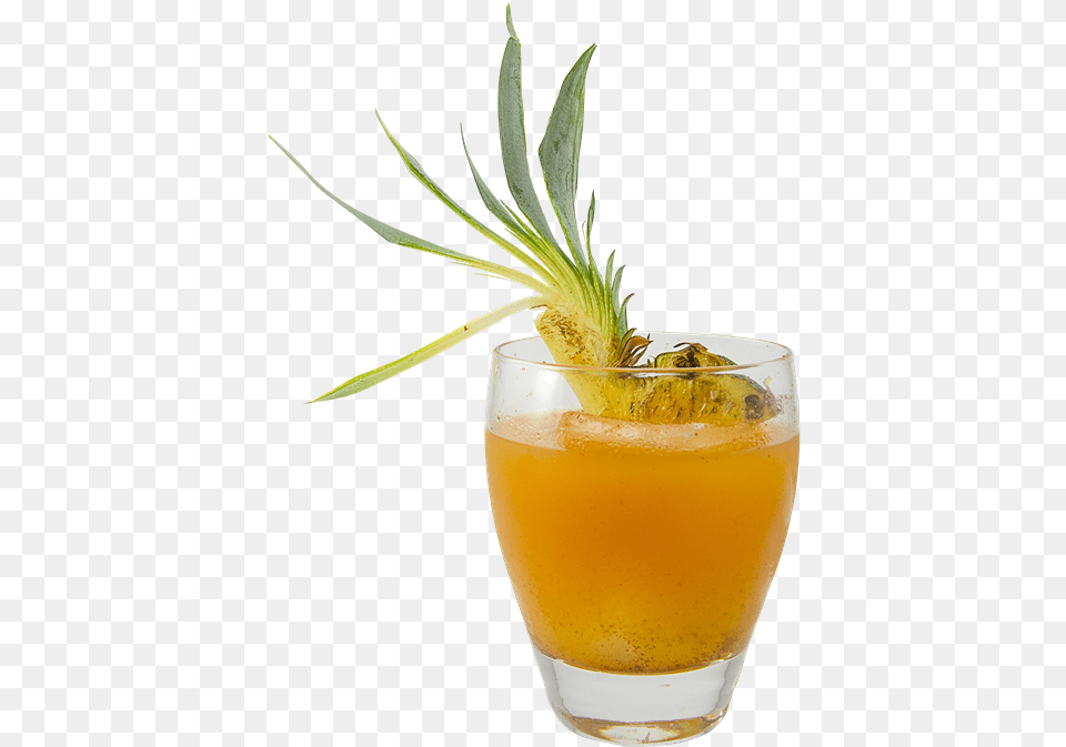 Pineapple Garnish Cocktail Mai Tai, Glass, Alcohol, Beverage, Plant Free Png