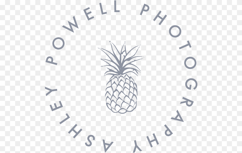 Pineapple Icon, Food, Fruit, Plant, Produce Png Image
