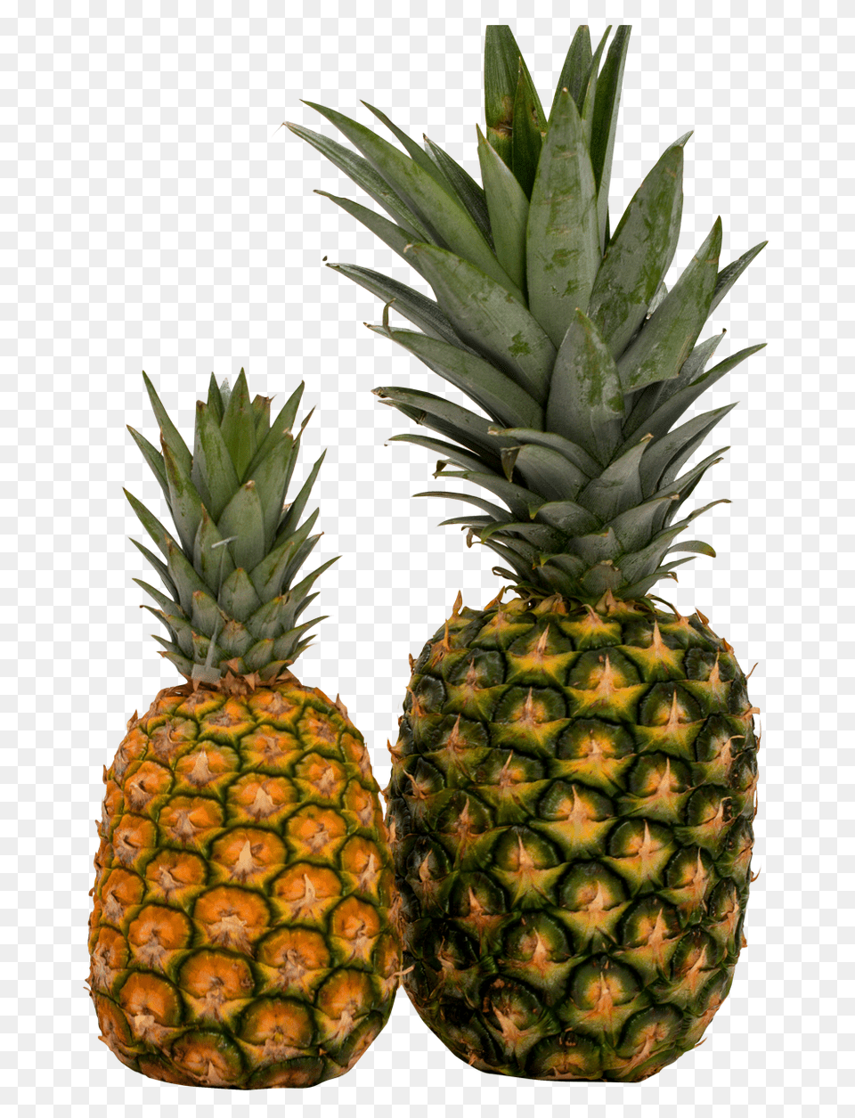 Pineapple 1, Food, Fruit, Plant, Produce Png Image