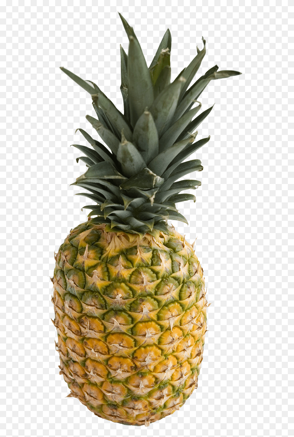 Pineapple Image, Food, Fruit, Plant, Produce Free Png Download