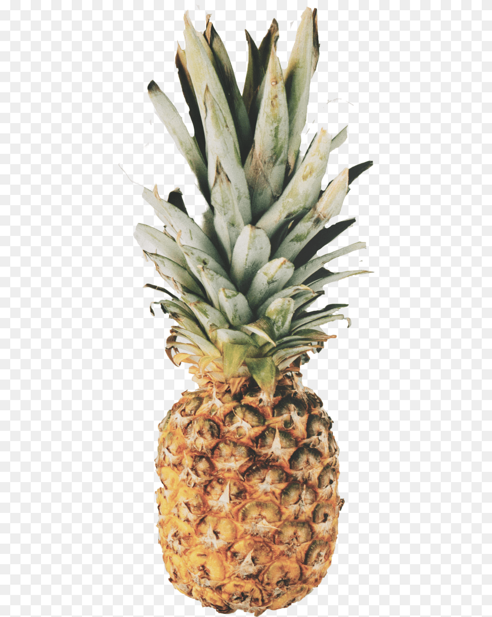 Pineapple Pineapple Wallpaper Quotes, Food, Fruit, Plant, Produce Png Image