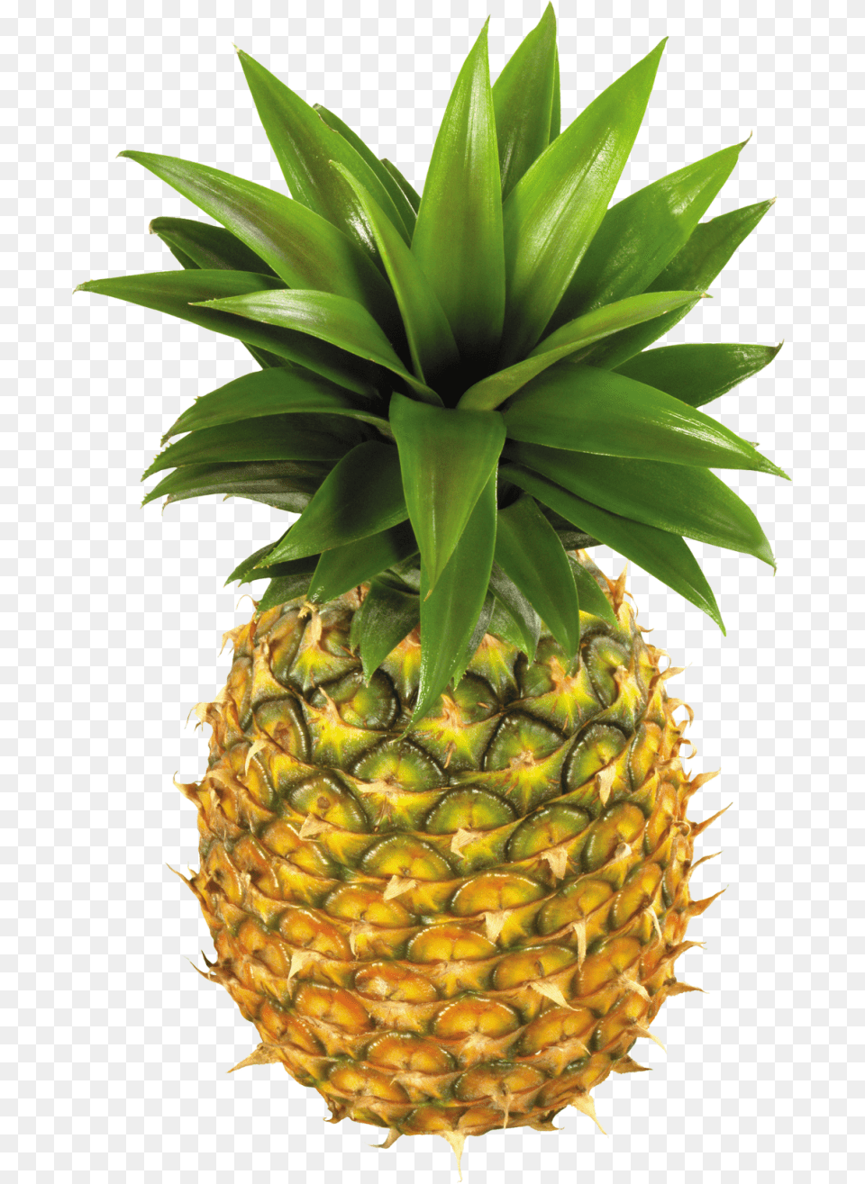 Pineapple Image Pineapples, Food, Fruit, Plant, Produce Free Png