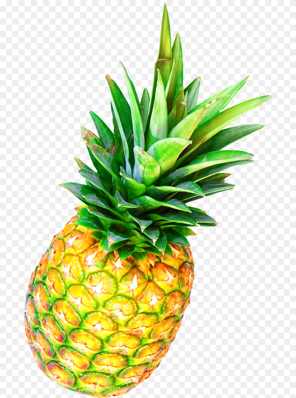 Pineapple Image Pngpix Pineapple Fruit, Food, Plant, Produce Free Png Download