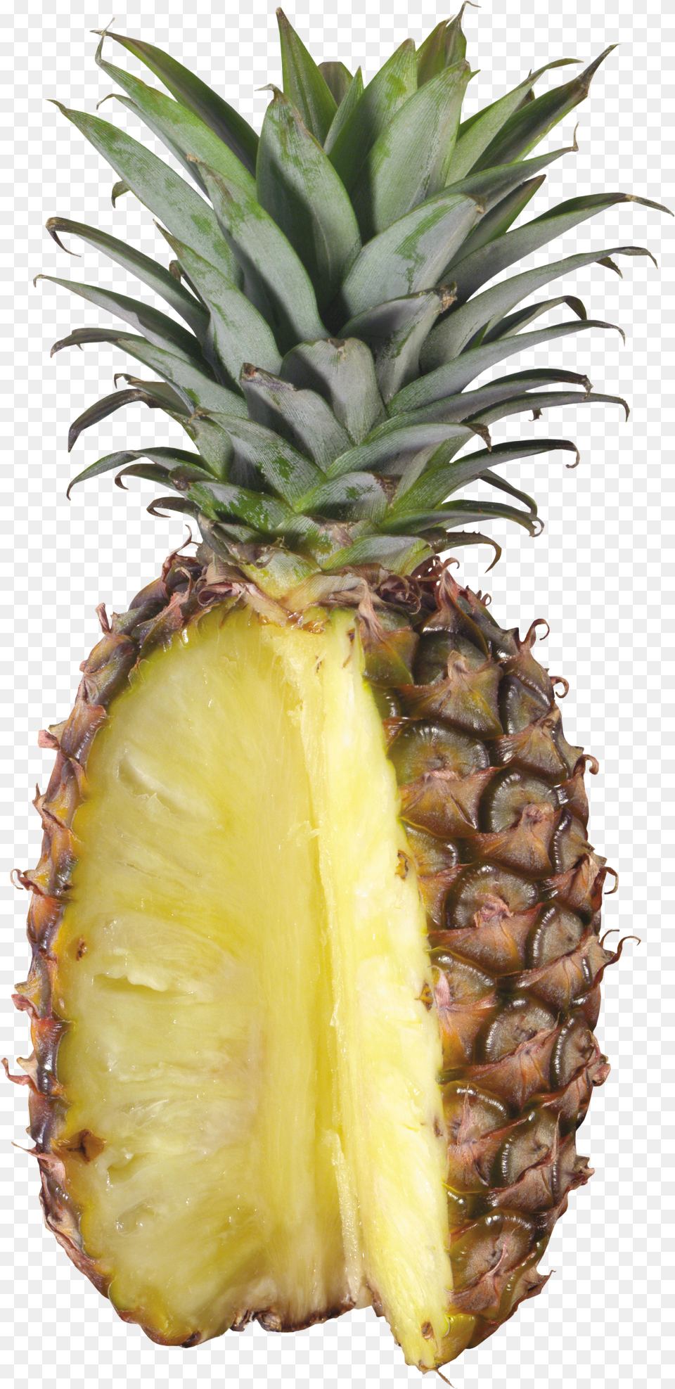 Pineapple Images Pictures Download Kenwood Juice Extractor Free Png