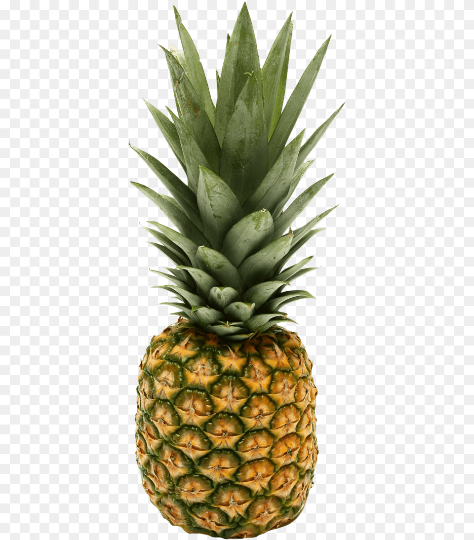 Pineapple Images Caribbean Mix Fruit Bars, Food, Plant, Produce Free Transparent Png