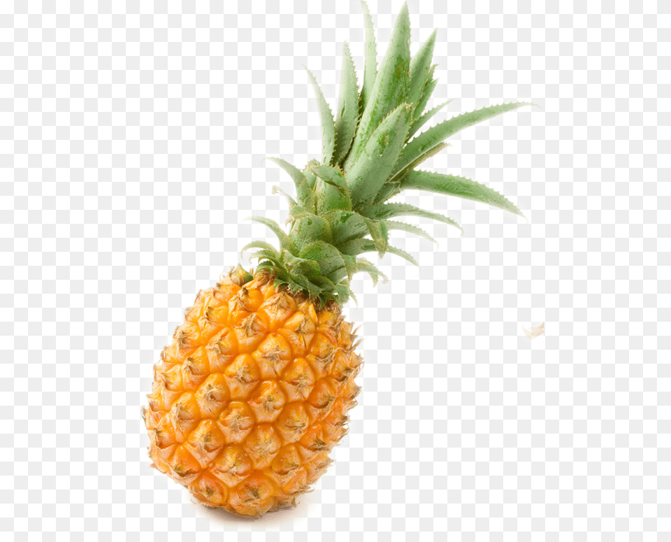 Pineapple Juice Slice Food Pineapple Vector Free, Fruit, Plant, Produce Png Image