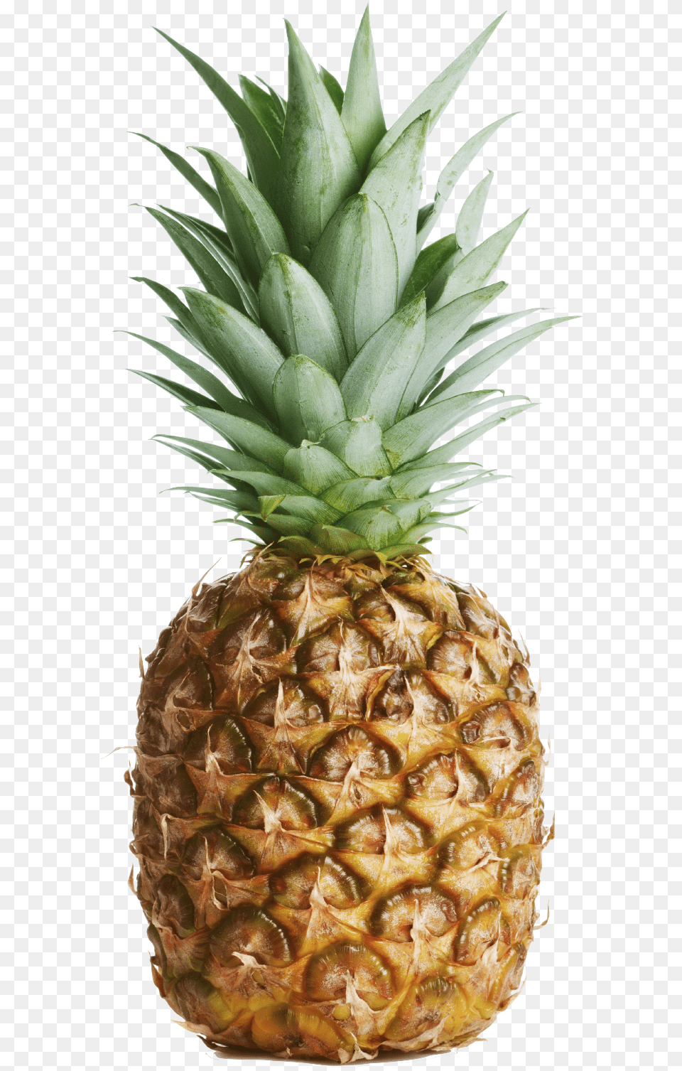 Pineapple No Background Pineapple With No Background, Food, Fruit, Plant, Produce Free Png Download