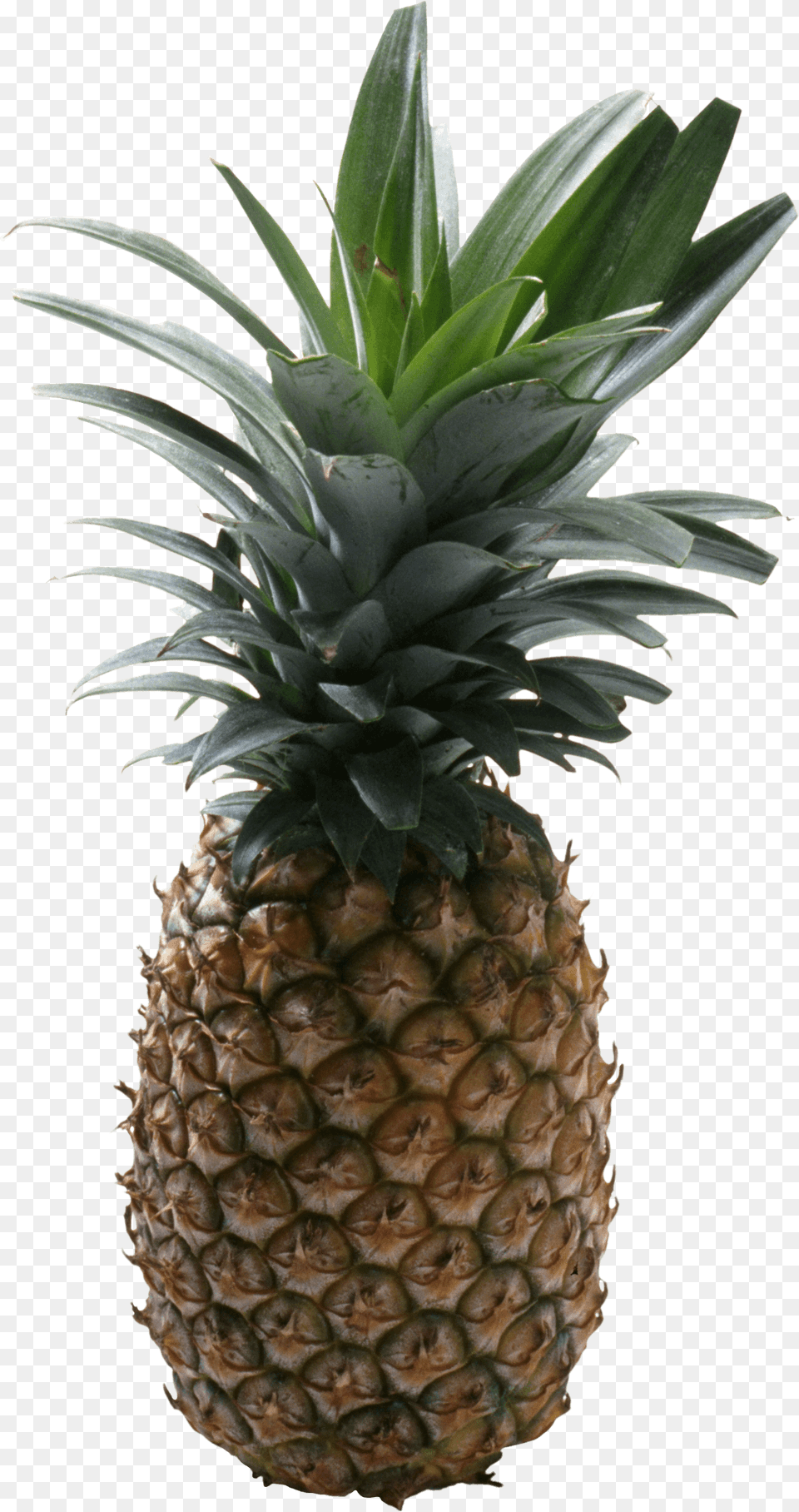 Pineapple No Background Pineapple With No Background, Food, Fruit, Plant, Produce Free Png