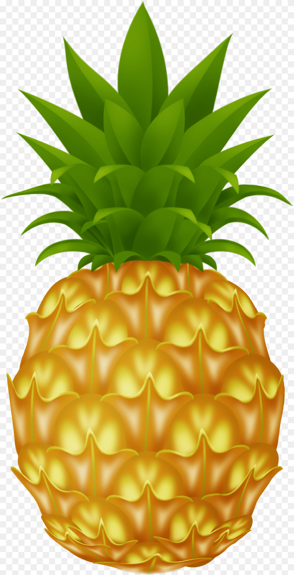 Pineapple Pictures Fruits Pineapple Clipart Png