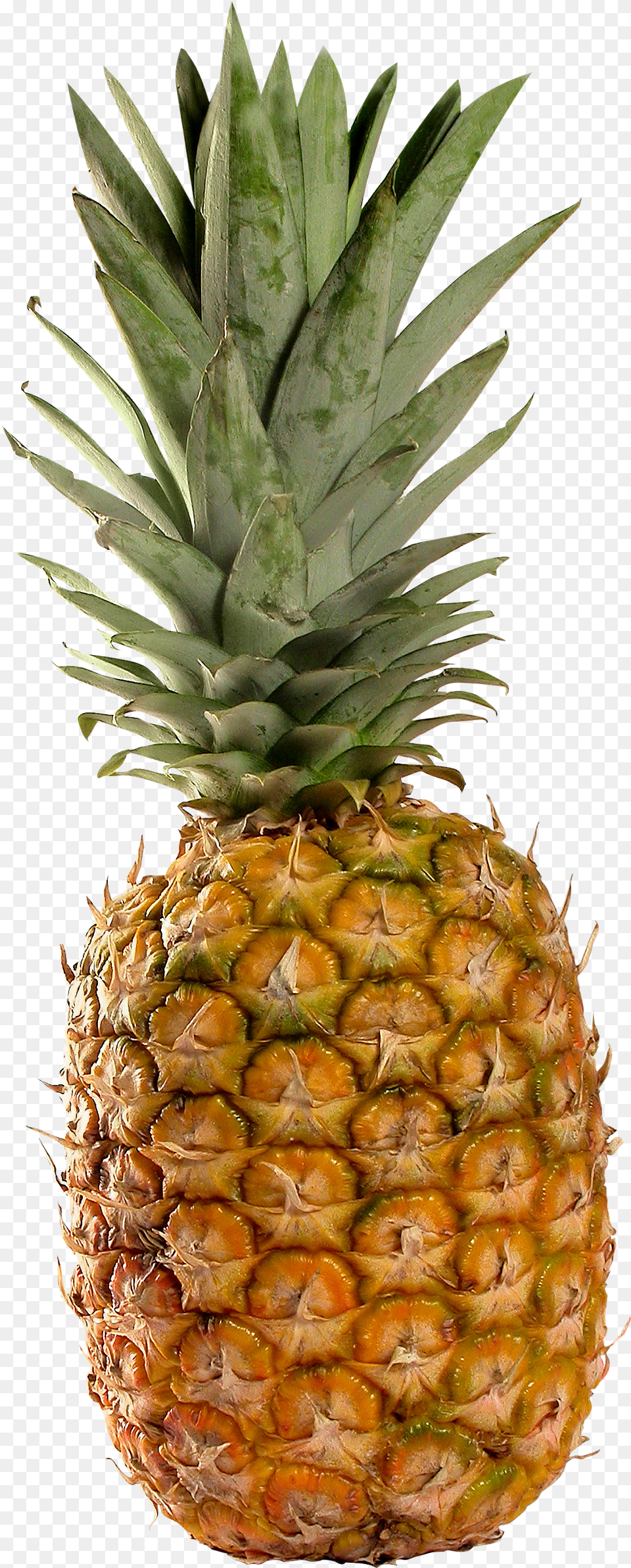 Pineapple Pineapple Free Png Download