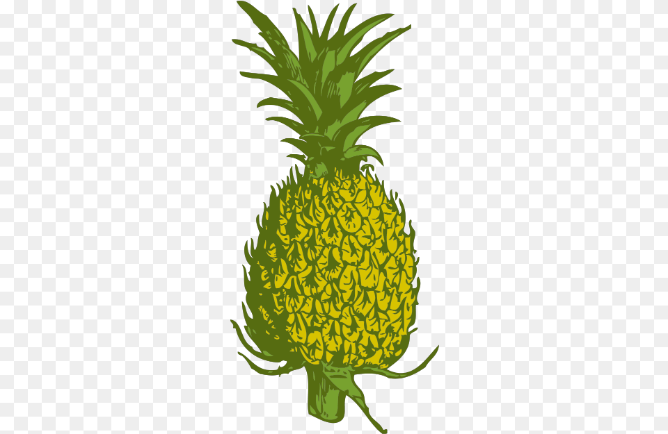 Pineapple Pineapple Tree Clipart, Food, Fruit, Plant, Produce Free Png