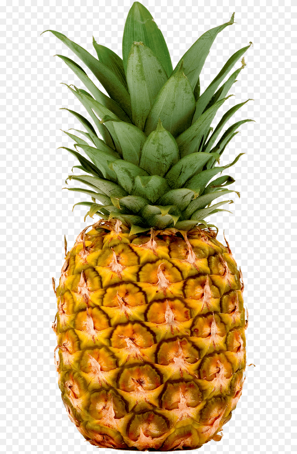 Pineapple Pineapples Fresh Imports Transparent Pineapple, Food, Fruit, Plant, Produce Png