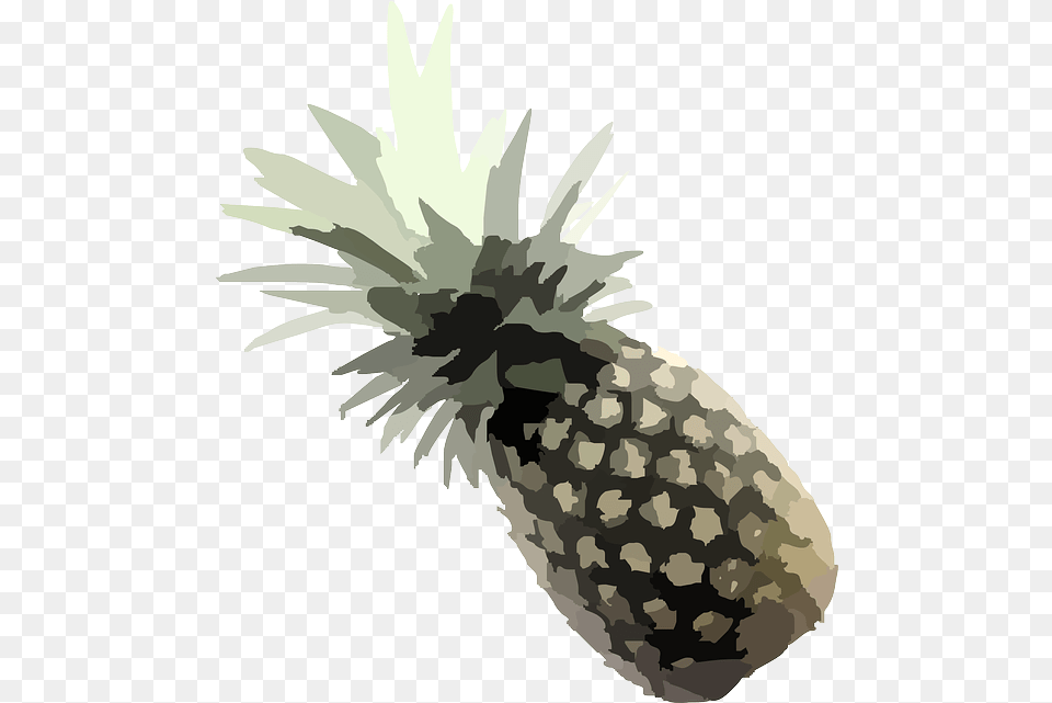 Pineapple Plant Tropical Vector Graphic On Pixabay Pineapple, Food, Fruit, Produce Free Png