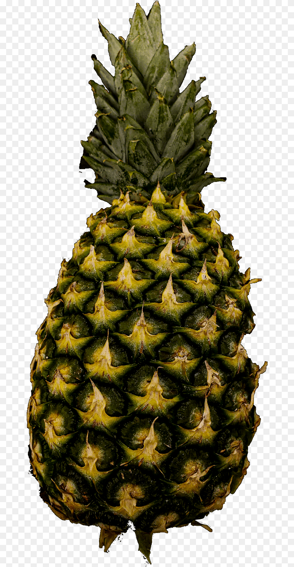 Pineapple Public Domain Pictures Ananas, Food, Fruit, Plant, Produce Png Image