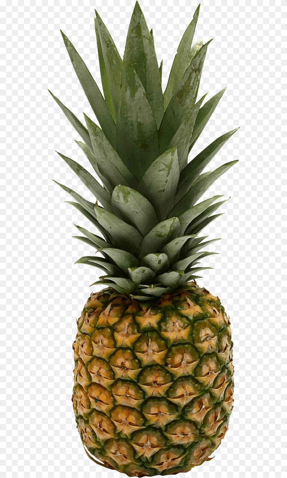 Pineapple Small Pics Of Pineapples 643x1600 Pineapple, Food, Fruit, Plant, Produce Free Transparent Png